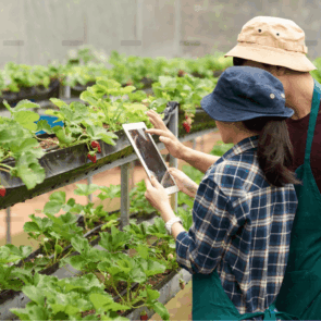 demo-attachment-50-19397-1