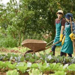 demo-attachment-54-19483-1