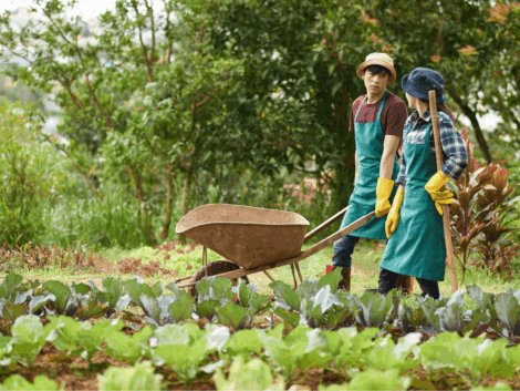 demo-attachment-54-19483-1