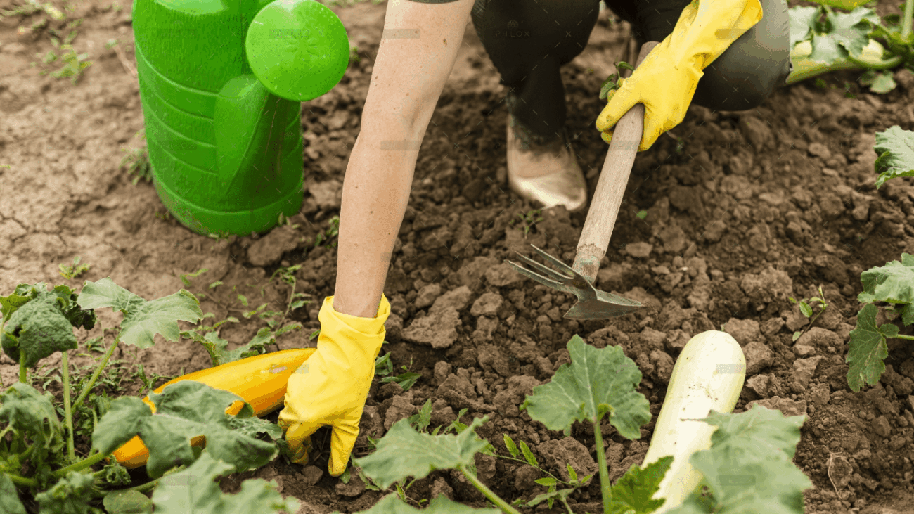 demo-attachment-56-2674674-1