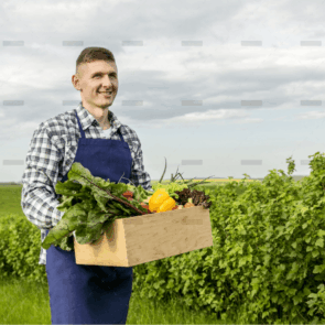 demo-attachment-57-4005938-1